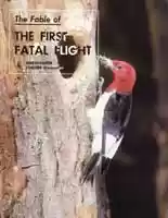 The First Fatal Flight